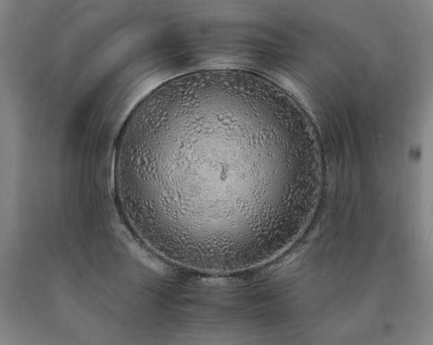 X0000090901227200707301406