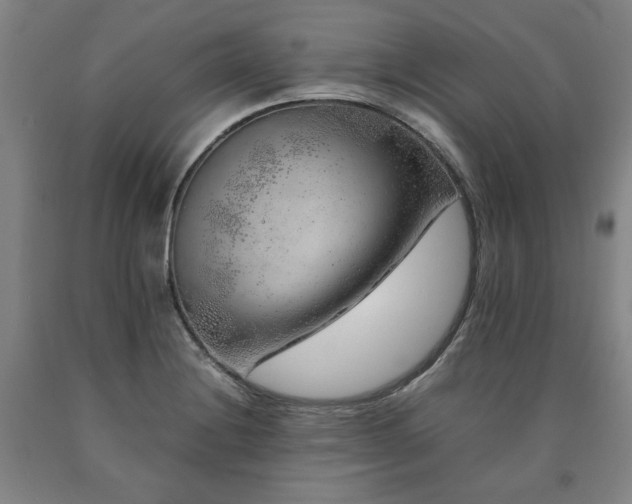 X0000090901228200707301406