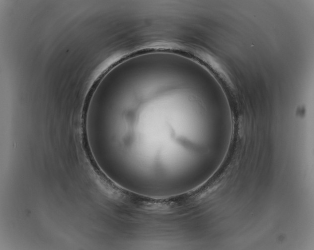 X0000090901229200707301406