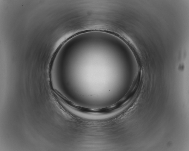X0000090901230200707301406