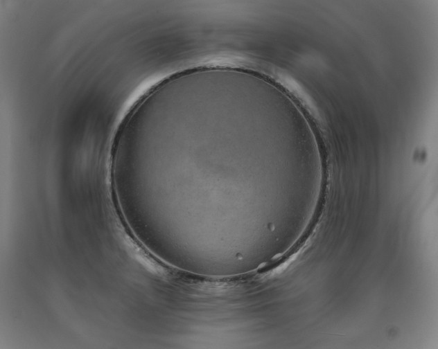 X0000090901232200707301406