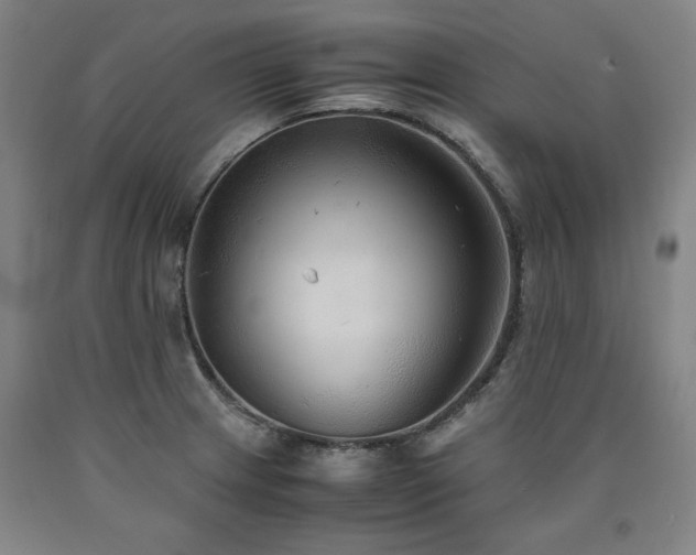 X0000090901233200707301406