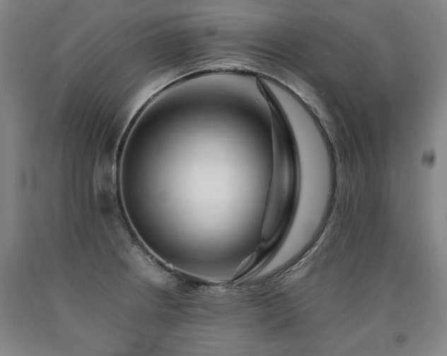 X0000090901234200707301406