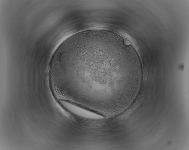 X0000090901235200707301406