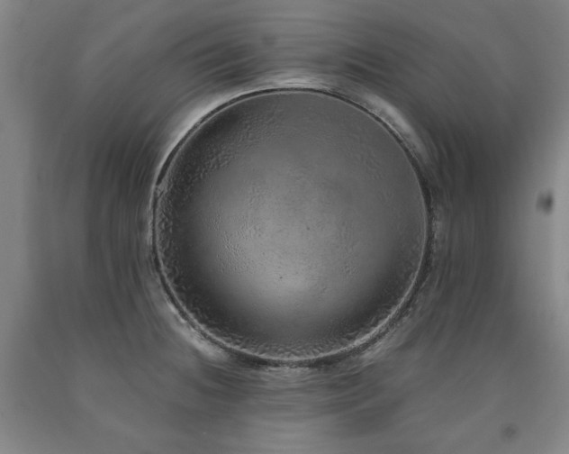 X0000090901236200707301406
