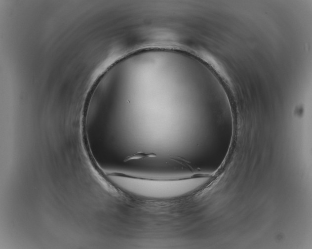X0000090901237200707301406