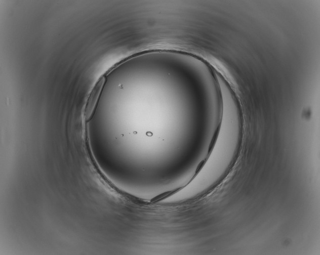 X0000090901238200707301406