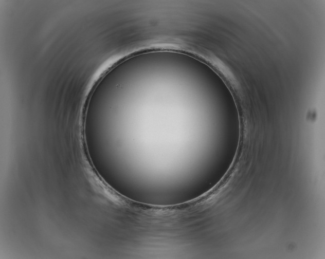 X0000090901240200707301406
