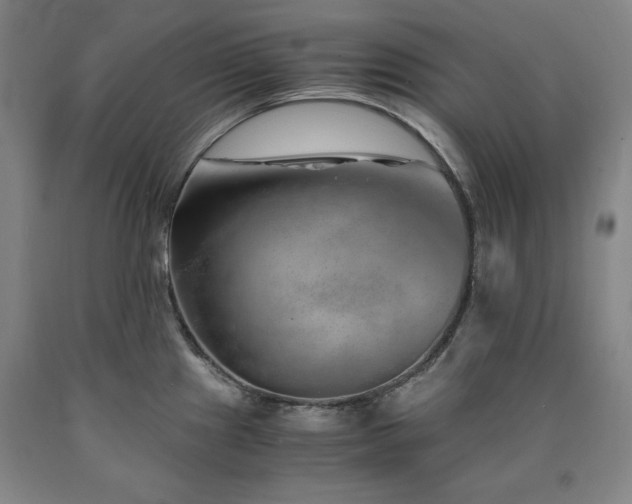 X0000090901241200707301406