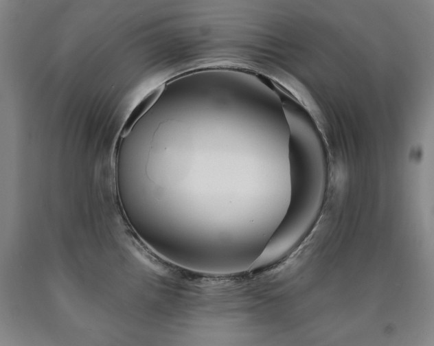 X0000090901242200707301406
