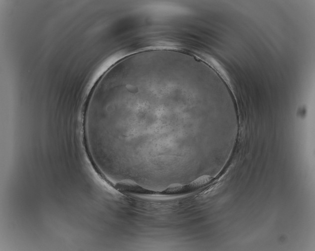 X0000090901243200707301406