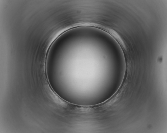 X0000090901244200707301406