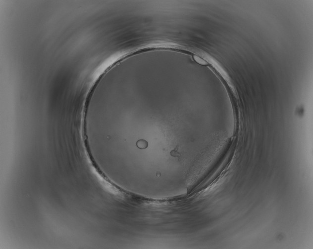 X0000090901245200707301406