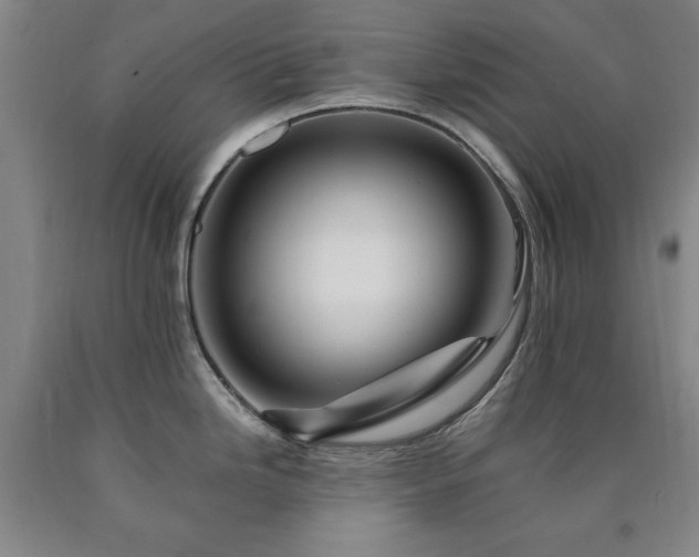 X0000090901246200707301406