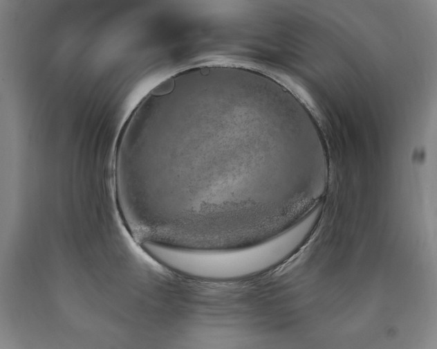 X0000090901247200707301406