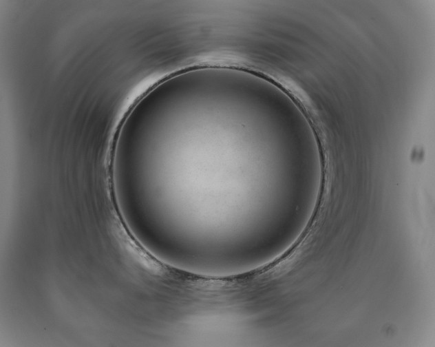 X0000090901248200707301406