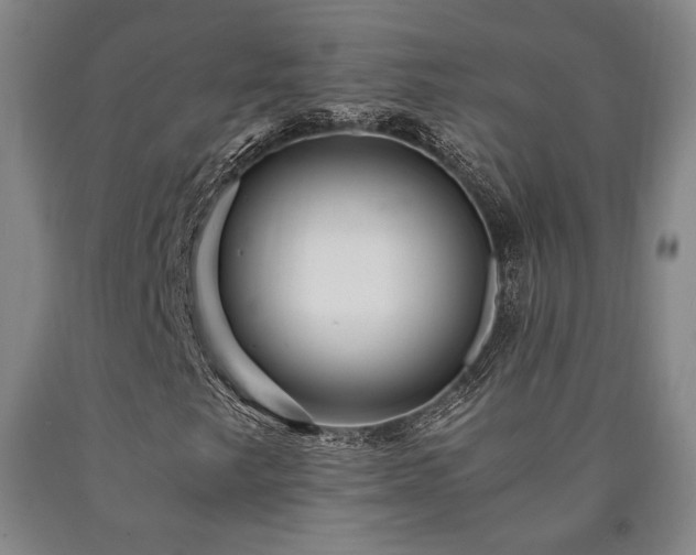 X0000090901249200707301405