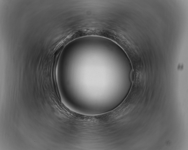 X0000090901250200707301405