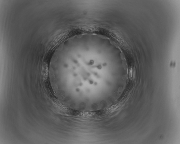 X0000090901251200707301405