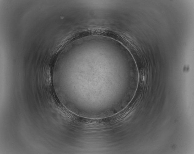 X0000090901252200707301405