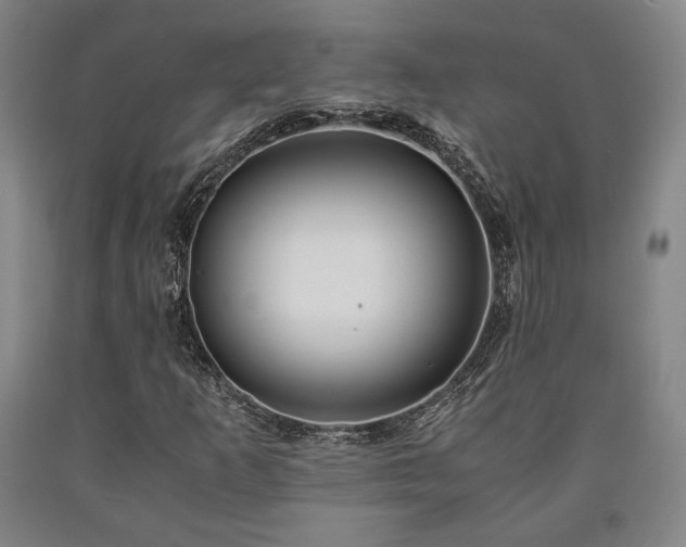 X0000090901253200707301405