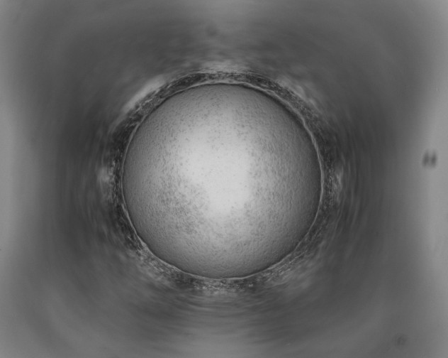 X0000090901254200707301405