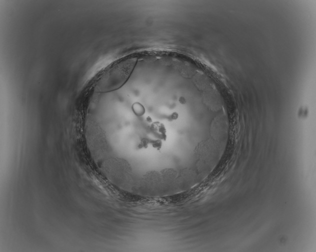 X0000090901255200707301405