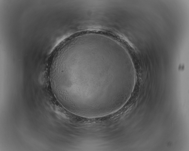 X0000090901256200707301405