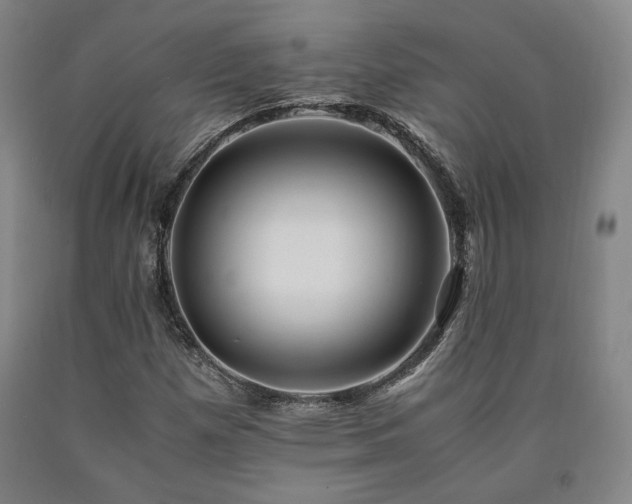 X0000090901257200707301405