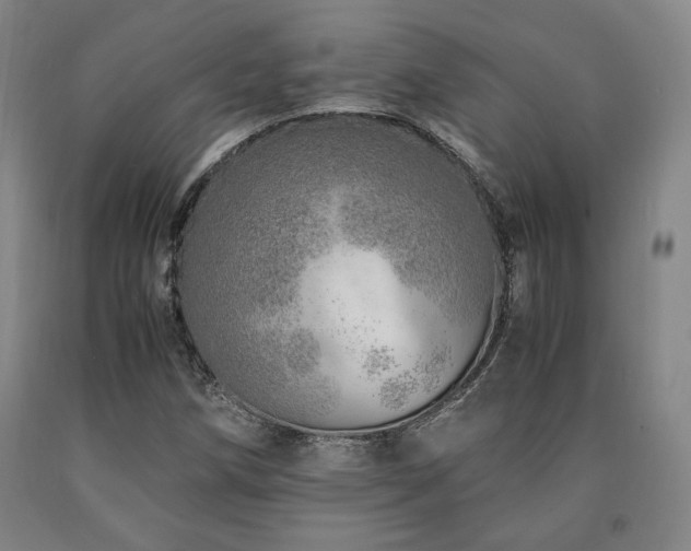 X0000090901258200707301405