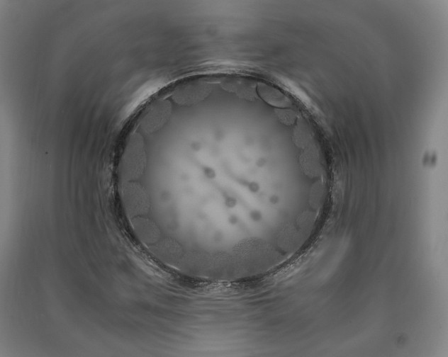 X0000090901259200707301405