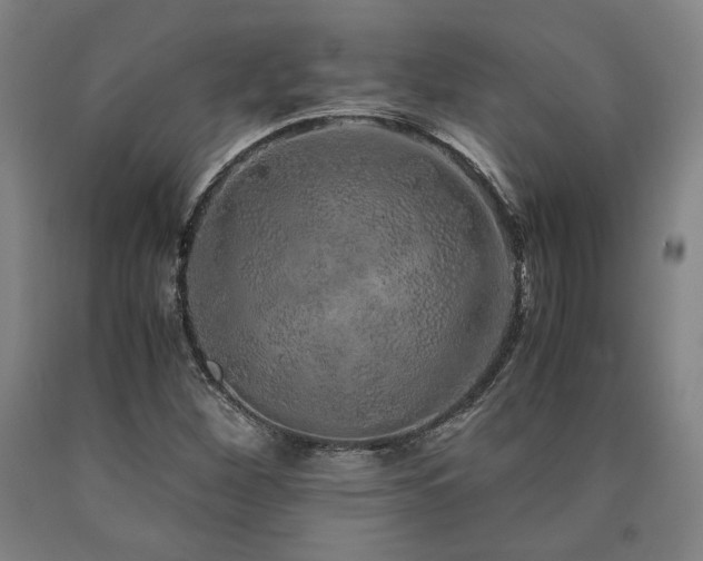 X0000090901260200707301405