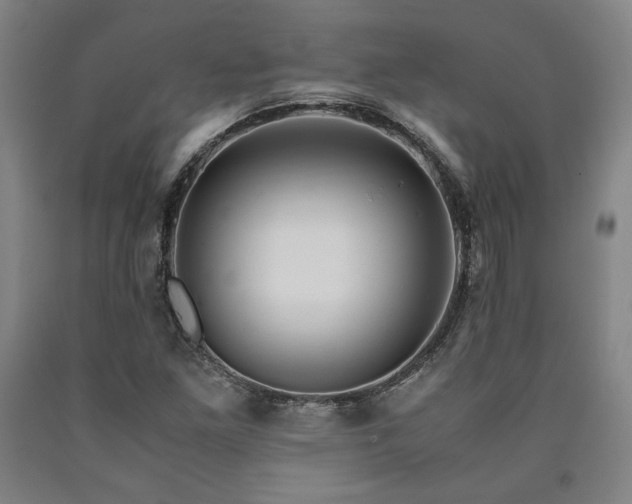 X0000090901261200707301405