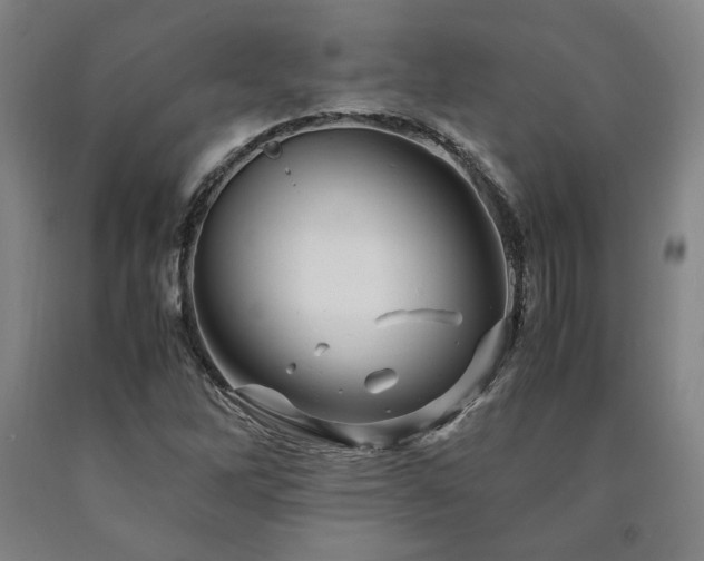 X0000090901262200707301405