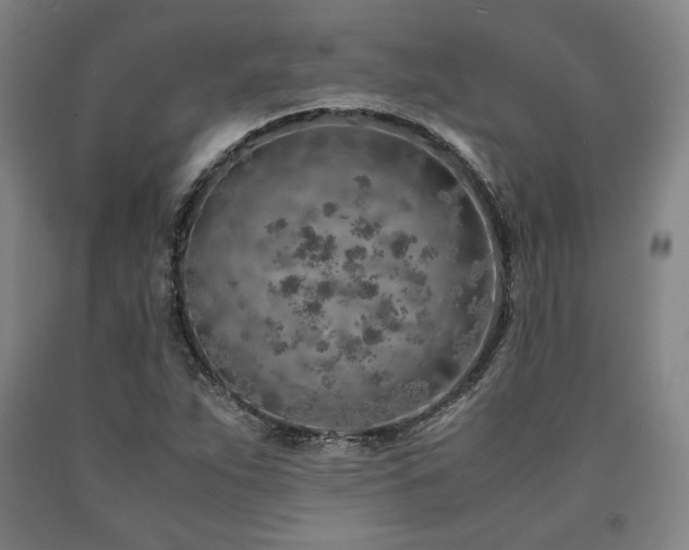 X0000090901263200707301405