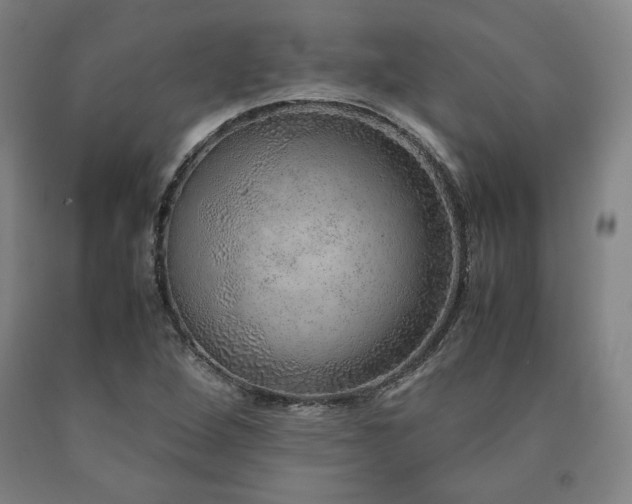 X0000090901264200707301405