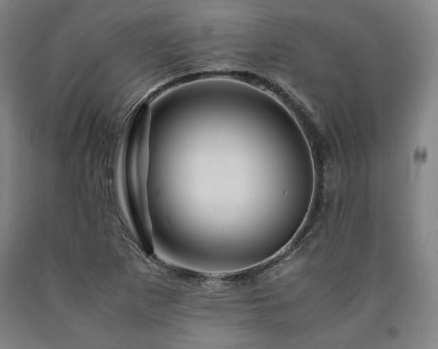 X0000090901265200707301405