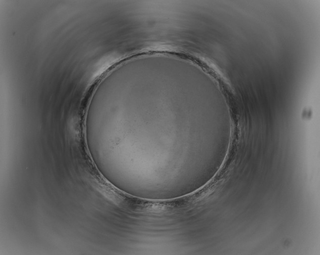 X0000090901266200707301405