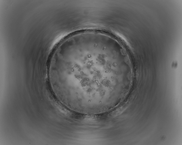 X0000090901267200707301405
