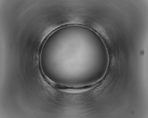 X0000090901268200707301405