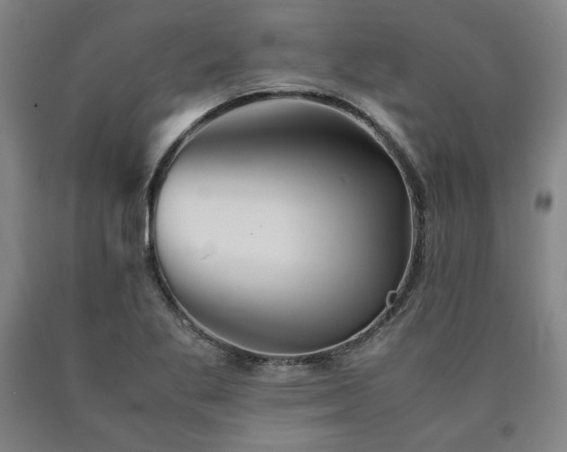 X0000090901269200707301405