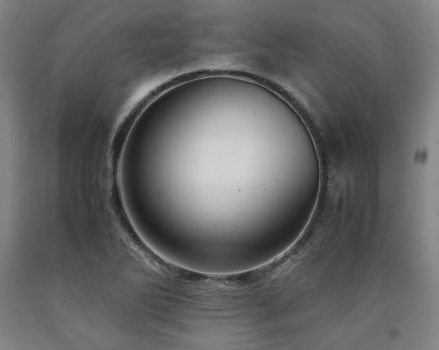 X0000090901270200707301405