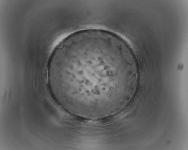 X0000090901271200707301405