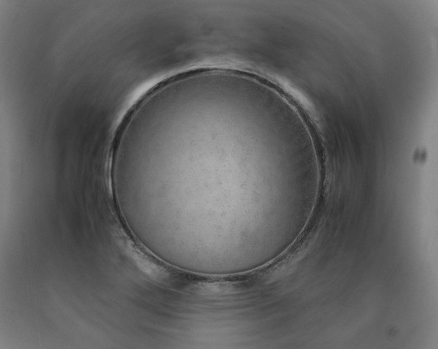 X0000090901272200707301405