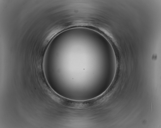 X0000090901273200707301405