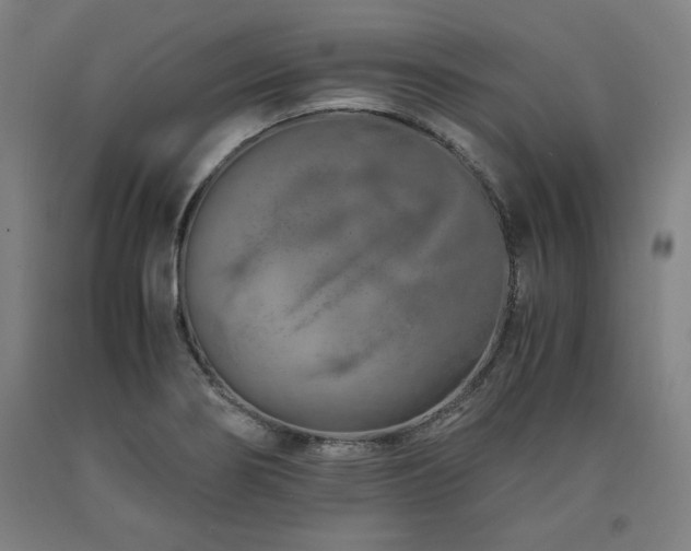 X0000090901274200707301405
