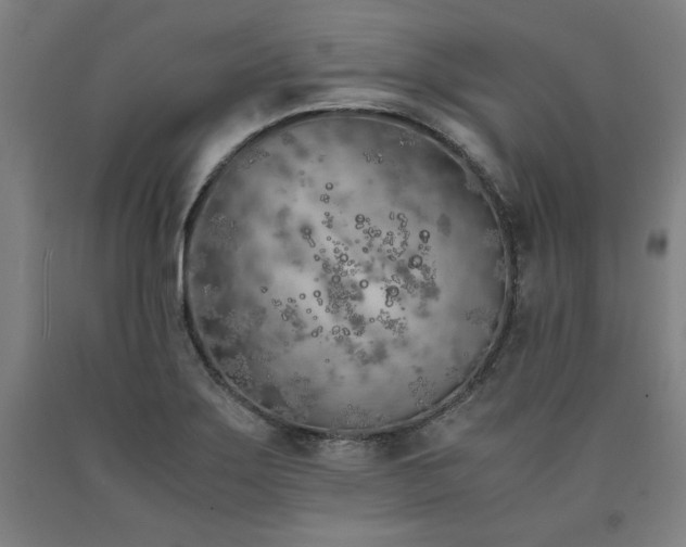 X0000090901275200707301405
