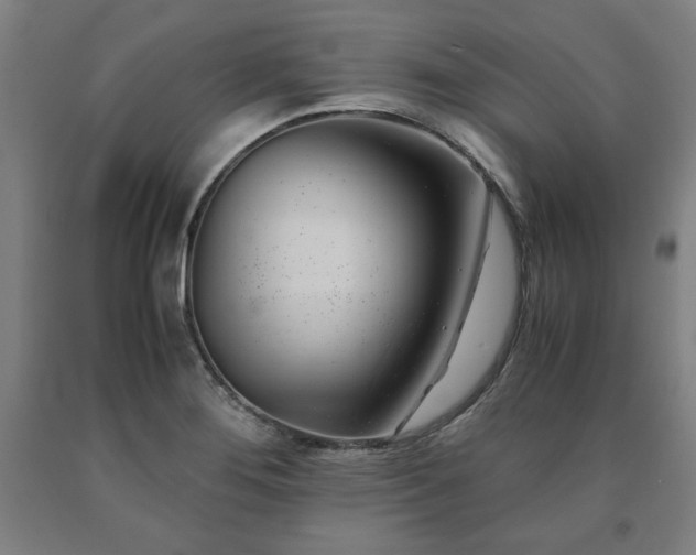 X0000090901276200707301405