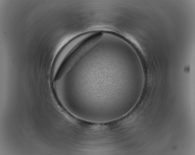 X0000090901277200707301405