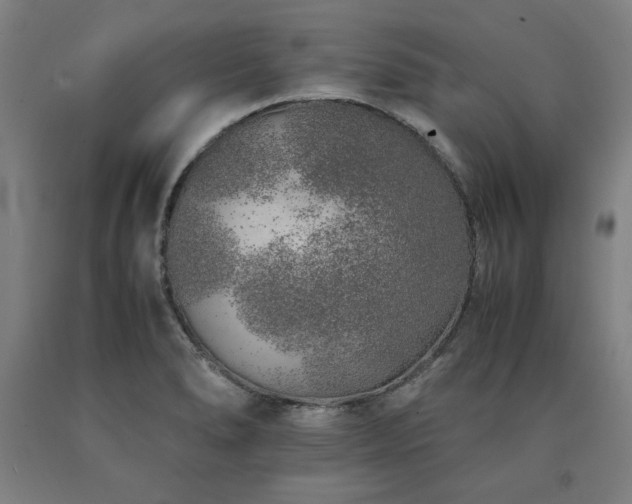 X0000090901278200707301405